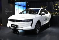 中国新能源车新车质量排名公布，看你的车上榜了吗？